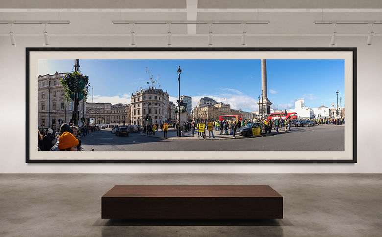 Framed fine art