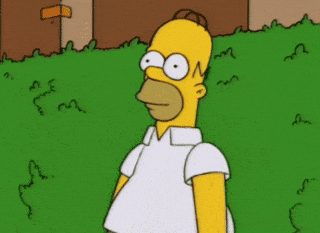 giphy (36).gif