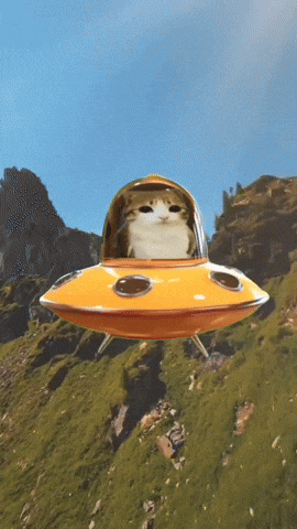 giphy (2).gif