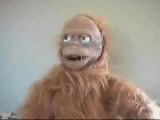 giphy (15).gif