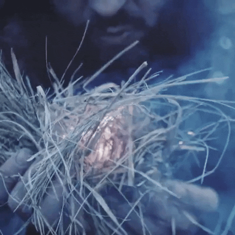 giphy (16).gif