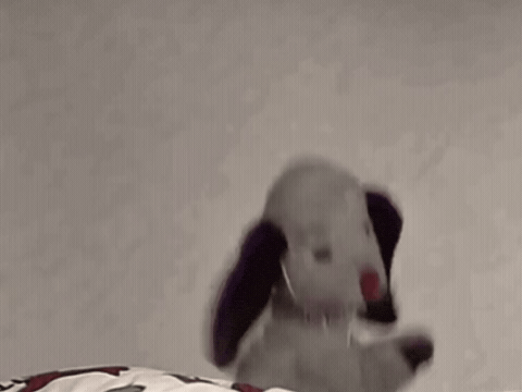 giphy (24).gif