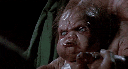giphy (33).gif