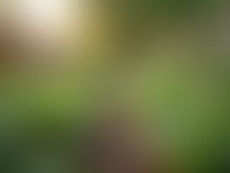 The Importance of Sustainable Living in Today's World