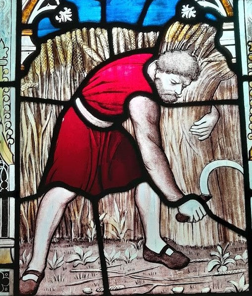 Sermon for Tixover Harvest: Creation.