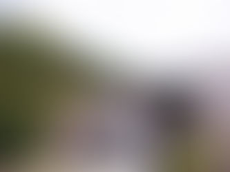 8월 크로톤 파크 야유회