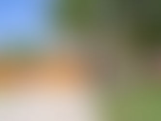 Not only for soccer fans!