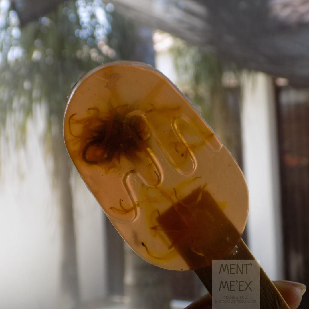 Paleta chica de calendula