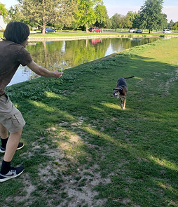 20190914_174024.jpg
