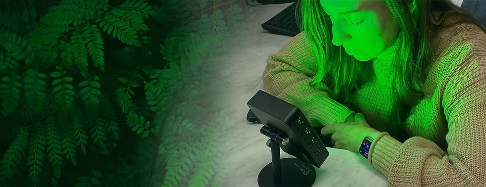 Header_Gal.jpg