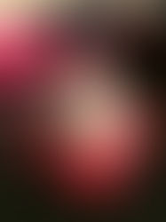 明けましておめでとうございます、あるいは健全なコミュニケーションについて