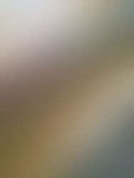 きのみぎ引越し！