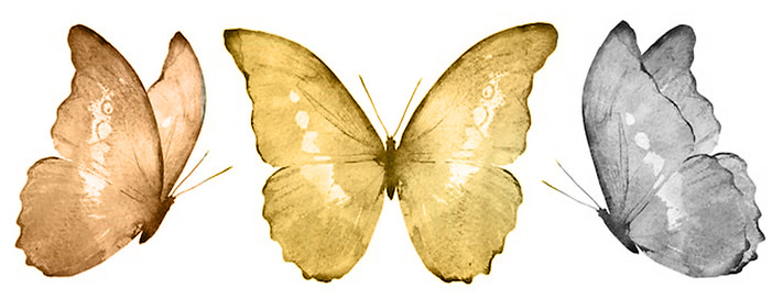 3 butterfies.jpg