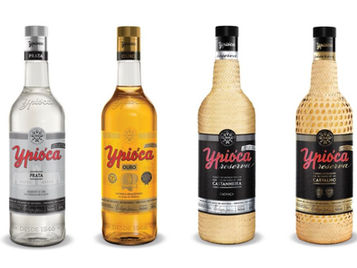 「イピオカ -ypioca-」