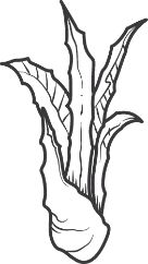 Foto del escritor: Redacción CEMMEZ