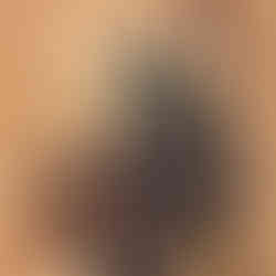 The Wicked Witch and her winged monkeys wait for their ride to the Emerald City