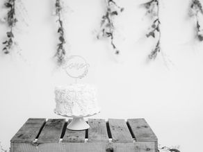 SHE'S 1! MILESTONE SESSION- FORT WAYNE, INDIANA