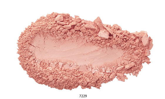 Fard à joues poudre 7229