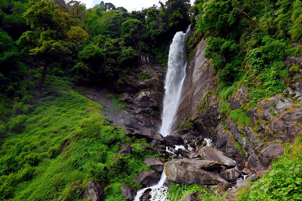 Phamrong Waterfall in Yuksom, Sikkim, cascading down a rocky cliff surrounded by lush green forest, known as the highest waterfall in the region and a popular sightseeing spot.