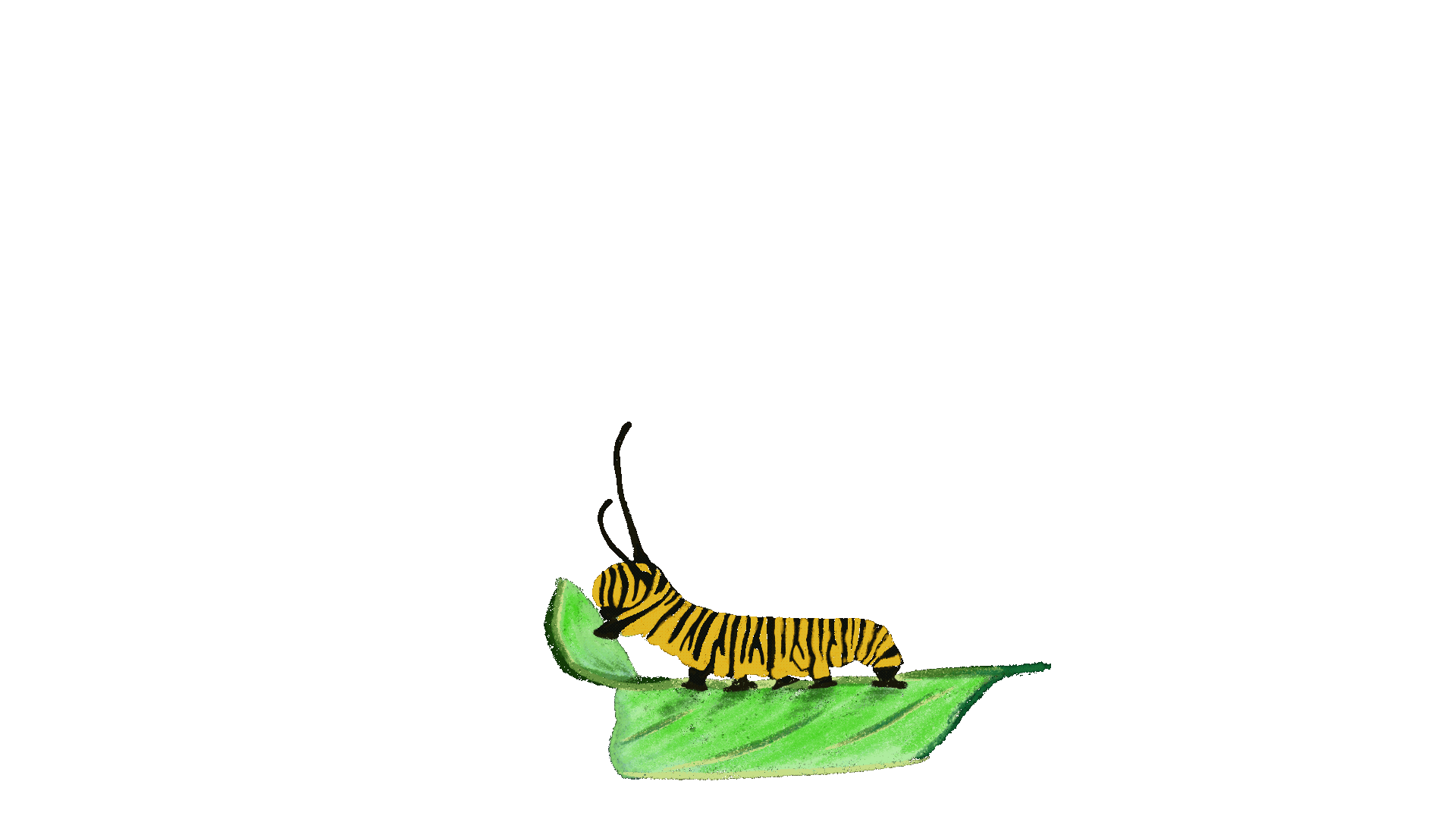 Oruga.gif