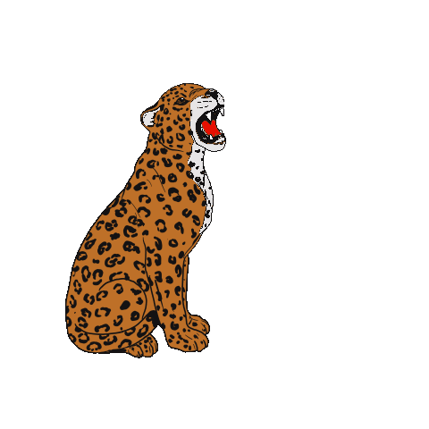 431585d65dfa6685c5eadea743f2c129.gif