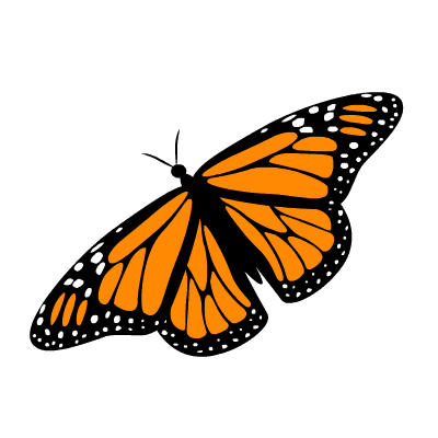 63dfbc0570e7f6cc883c85093dfa421f.gif