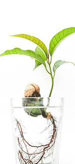 propogation.jpg