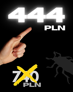 6.png