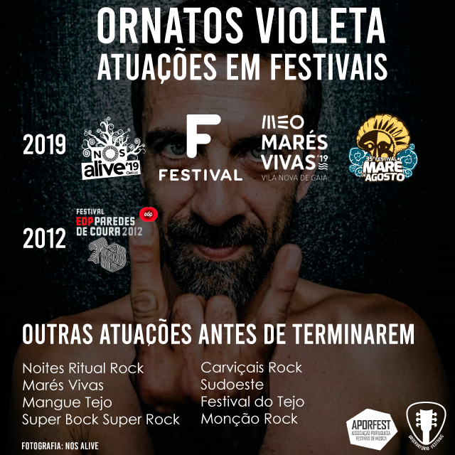 OrnatosVioleta-Festivais