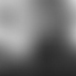 Festivais de 2021 começam a ser adiados/cancelados! É tempo de serem criadas soluções para a área da