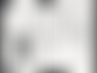 Festival da Semana #24: Mucho Flow