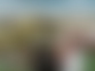 Soluções Seguros - Cancelamento, RC, Acidentes trabalho e instrumentos [associados e área cultural]