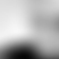 Ensino Artístico em festival - a missão do Harmos. Entrevista: Bruno Pereira (diretor)