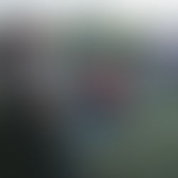 15 meses depois - O setor Cultural continua a ser prejudicado pelo Governo. Porquê?