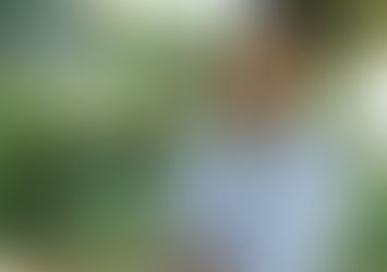 A nova era dos festivais de música