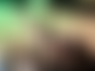 Artigo Científico: A Influência da responsabilidade social corporativa no processo de tomada de deci