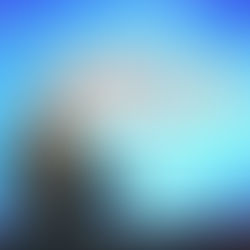 Festival Med anunciou mais novidades da edição de 2019 na área musical e cinema