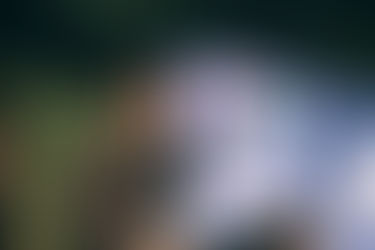 Iberian Festival Awards (2nd edition): and the winners are...