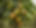 inject-blog-service_1719234232819.png