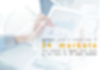 Translation Services