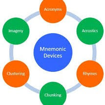 6 Mnemonics That’ll Make You an Anatomy Genius