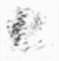 Jo Thomas, Utter, ink on paper, drawing 2021._edited.jpg