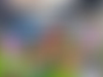 NEW GEMS TOYS N TREATS DEAL!