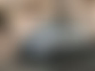 The 2011 Toyota Alphard