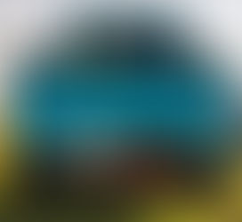 A Subaru Sambar - Ontario owned and operated