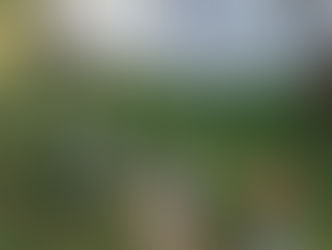 Louhitalon tapahtumapäivä!