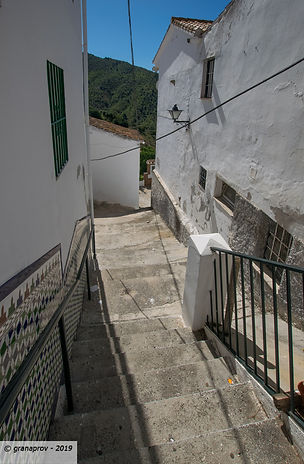 20190427-2060-web.jpg