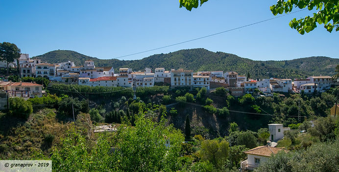 20190427-2063-web.jpg