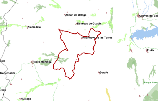 villanueva de las torres.png