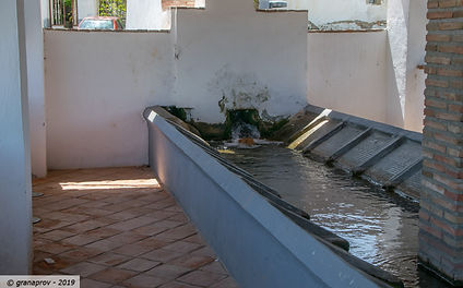 20190501-2352-web.jpg
